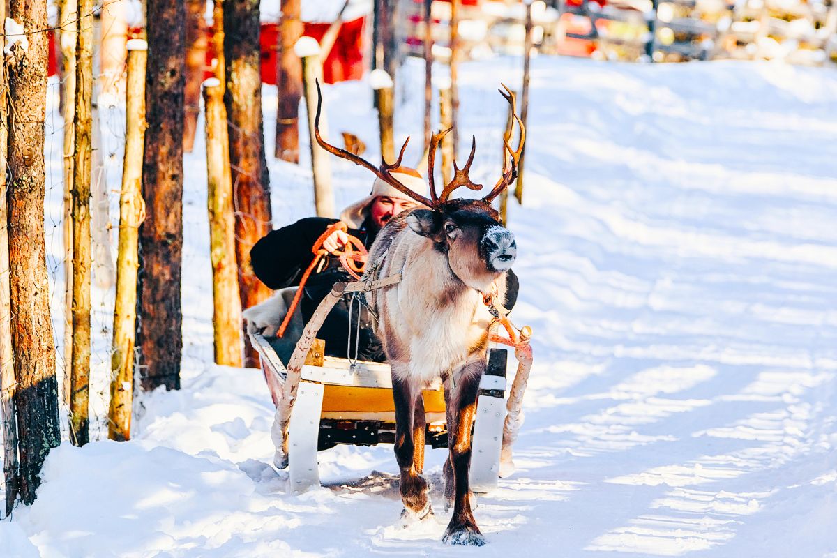 Que faire avec ses enfants en Laponie à Noël ?