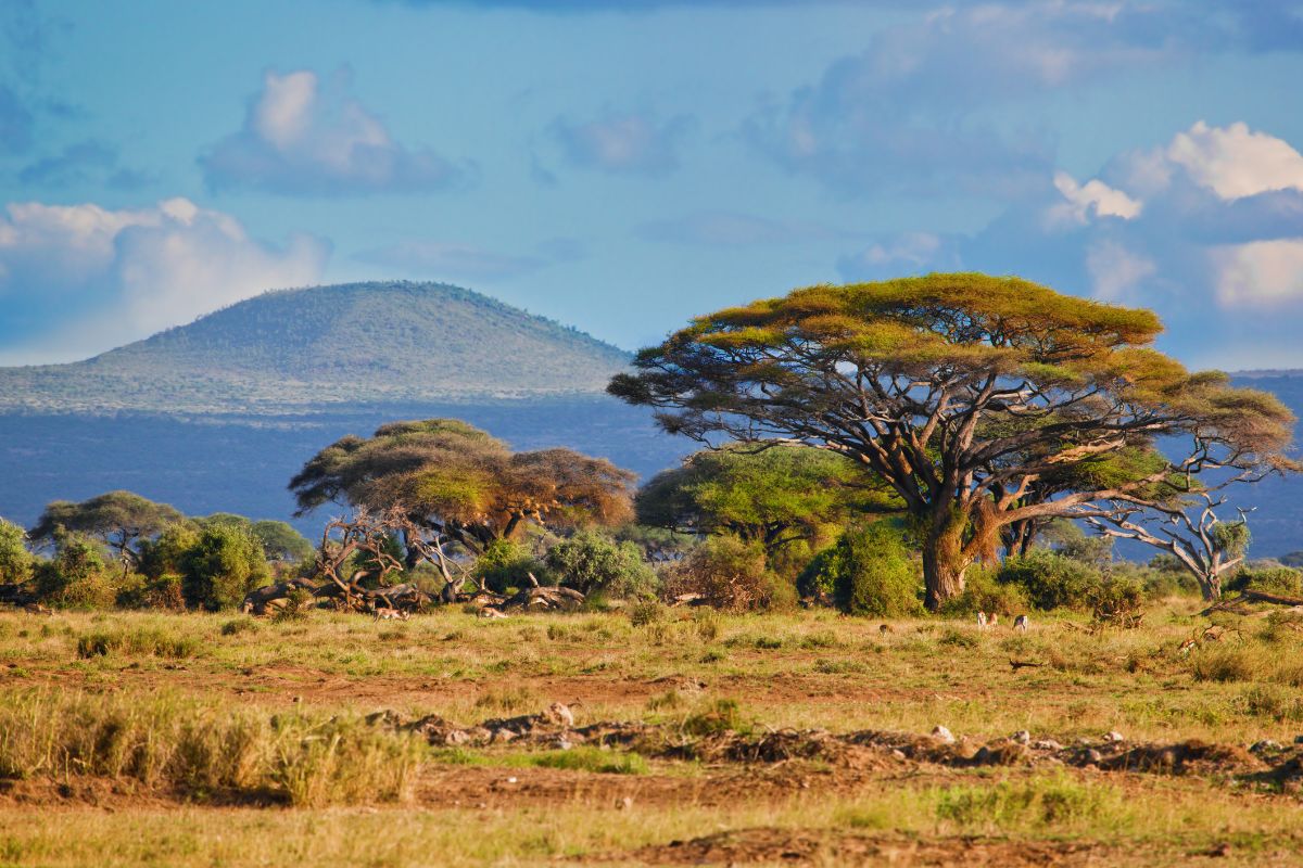 Afrique du Sud : Quand partir pour des vacances de rêve ?