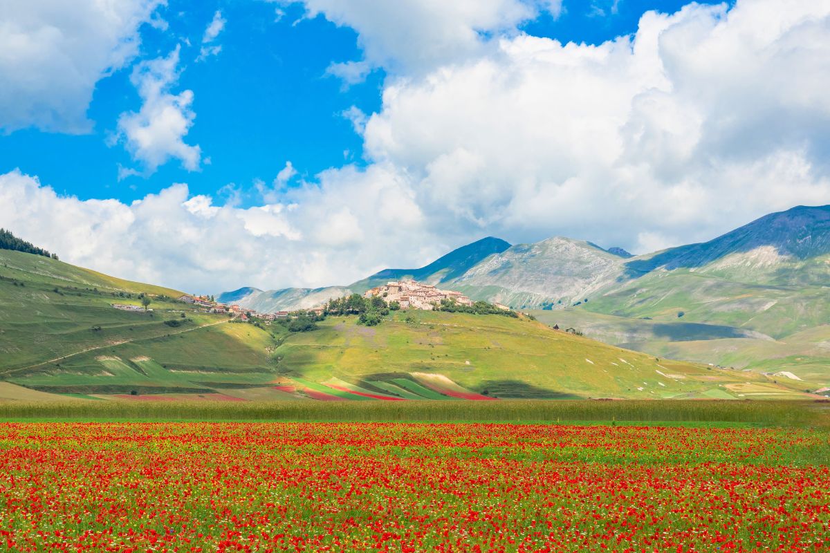 Norcia