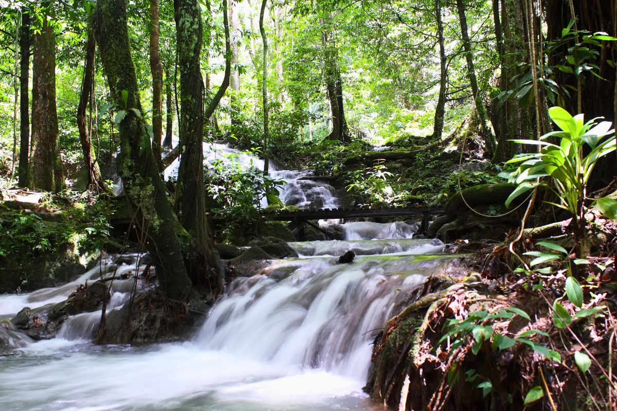 Phuket cascades