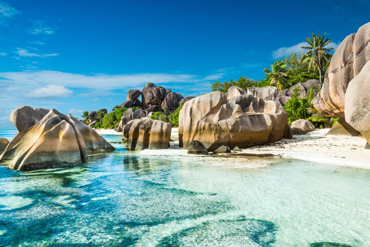 Black Friday aux Seychelles : Les bons plans 2024