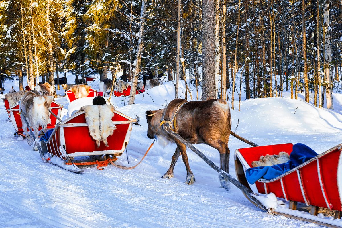 Top 10 d’idées séjours original pour Noel en 2024