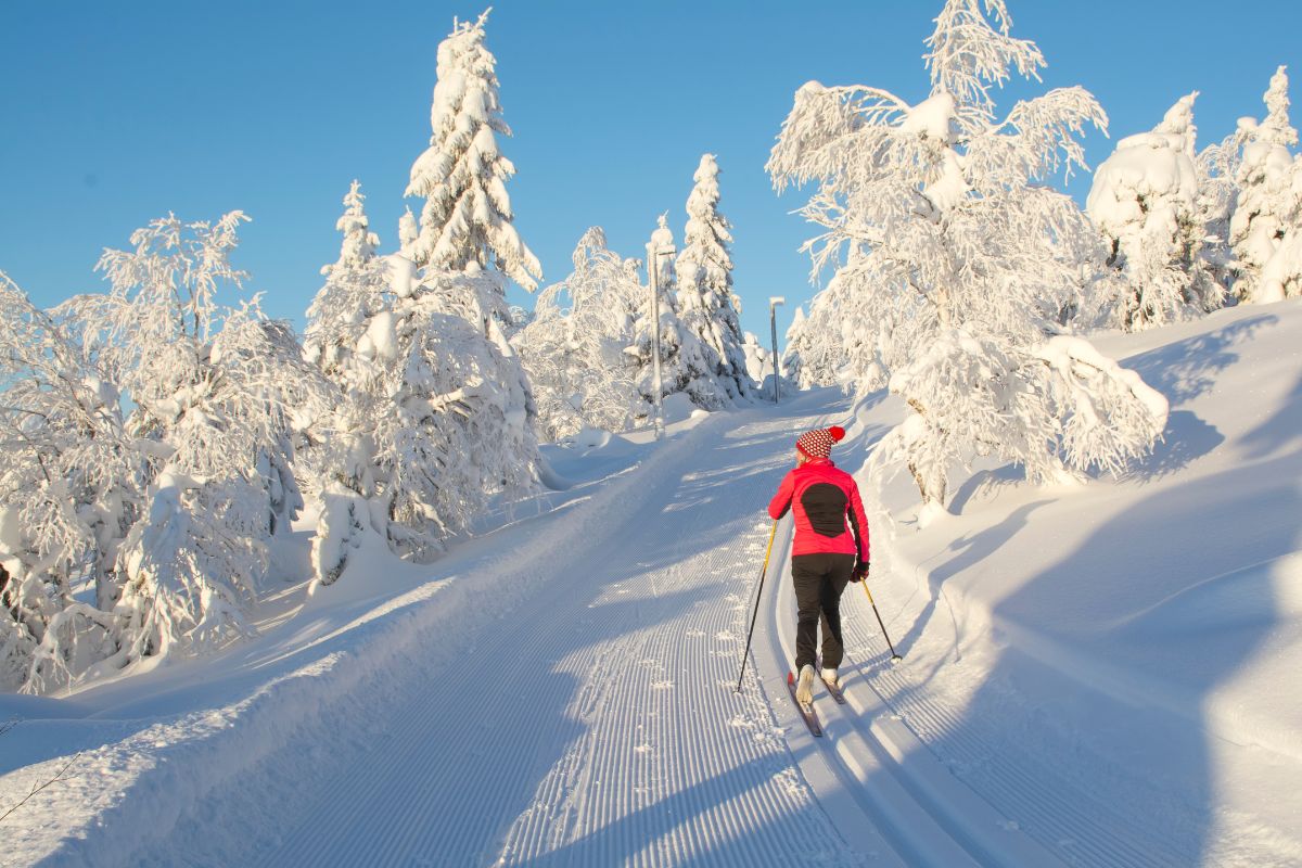 Les 9 meilleurs endroits où faire du ski de fond aujourd’hui