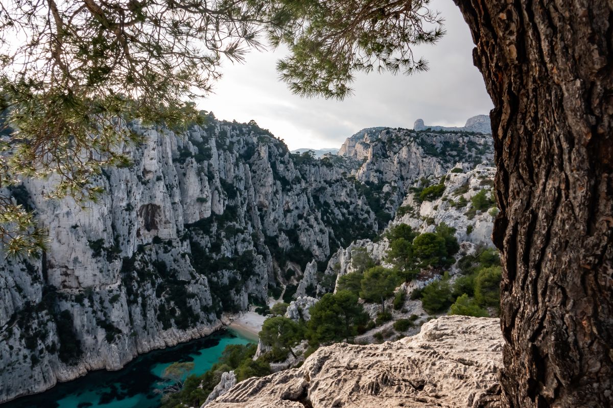 Comment aller aux calanques d’En Vau ?