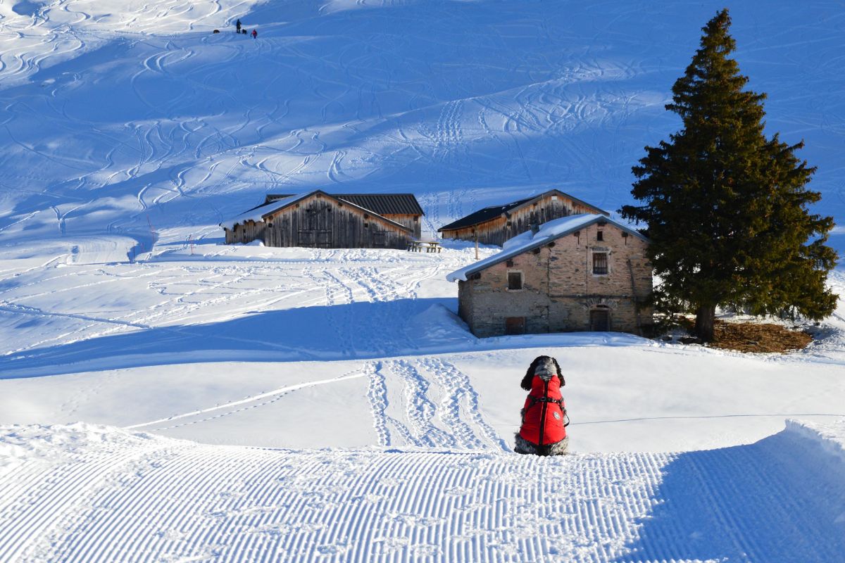 Last minute au ski pour Nouvel An : Où partir ?