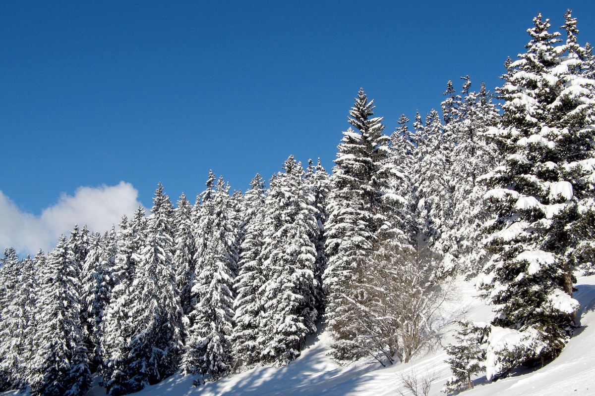 Où fêter le Nouvel An en Suisse cette année ?