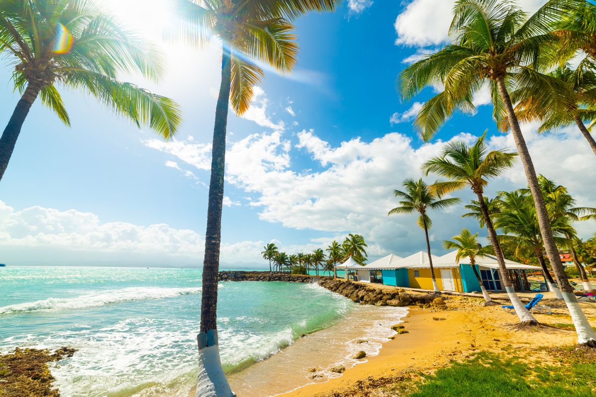 10 jours en Guadeloupe : Le meilleur itinéraire pour 2025