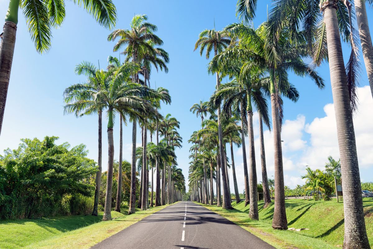 10 jours en Guadeloupe : Le meilleur itinéraire pour 2025