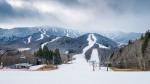 découvrez les meilleures stations de ski au japon, un paradis pour les amateurs de glisse. des paysages à couper le souffle, des pistes variées et une culture unique vous attendent dans ces destinations hivernales prisées.