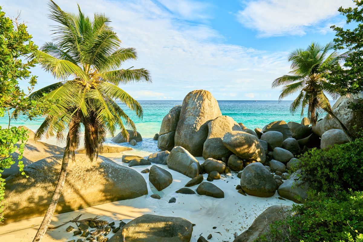 Voyage en Août eaux Seychelles : Quel avis ?